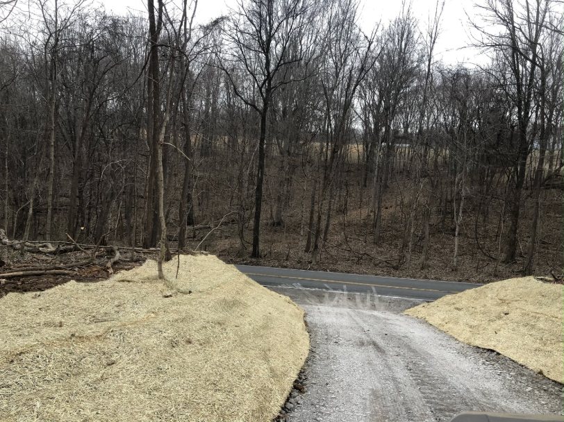 KG Excavating driveway grading project cut through wooded land